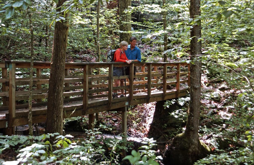 Brasstown Valley Resort & Spa Young Harris Dış mekan fotoğraf