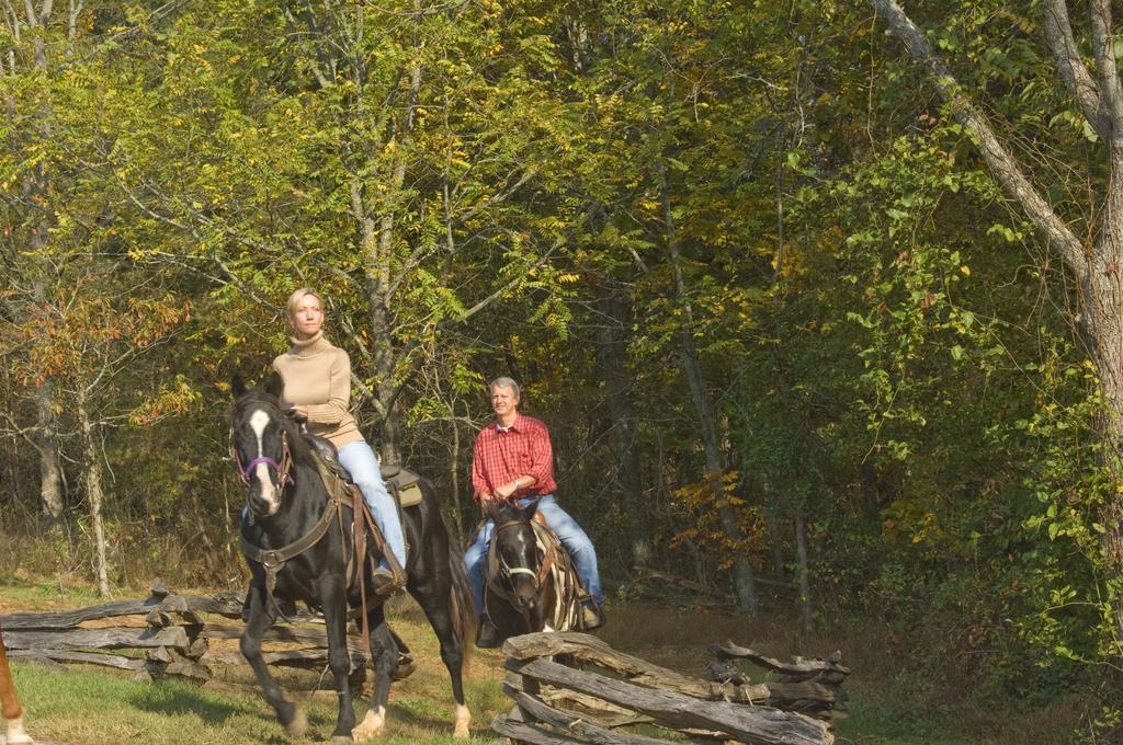 Brasstown Valley Resort & Spa Young Harris Dış mekan fotoğraf