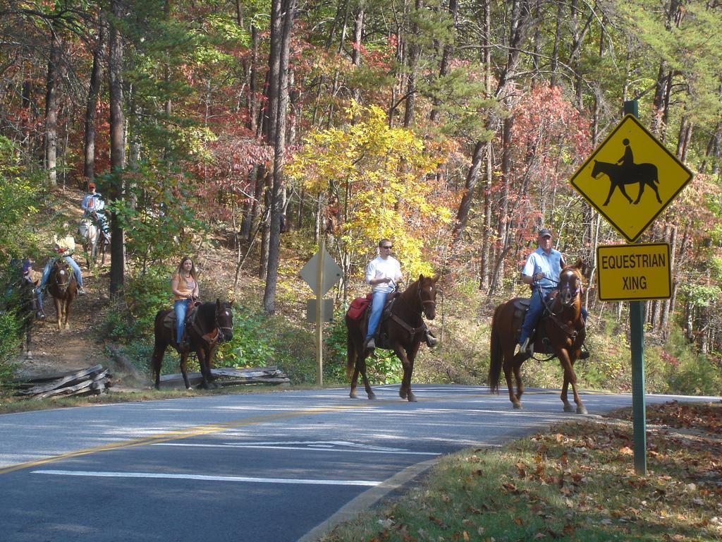 Brasstown Valley Resort & Spa Young Harris Dış mekan fotoğraf