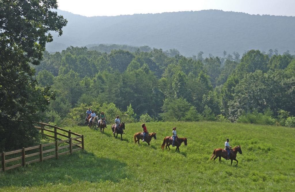 Brasstown Valley Resort & Spa Young Harris Dış mekan fotoğraf
