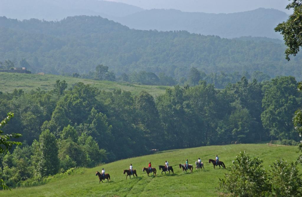 Brasstown Valley Resort & Spa Young Harris Dış mekan fotoğraf