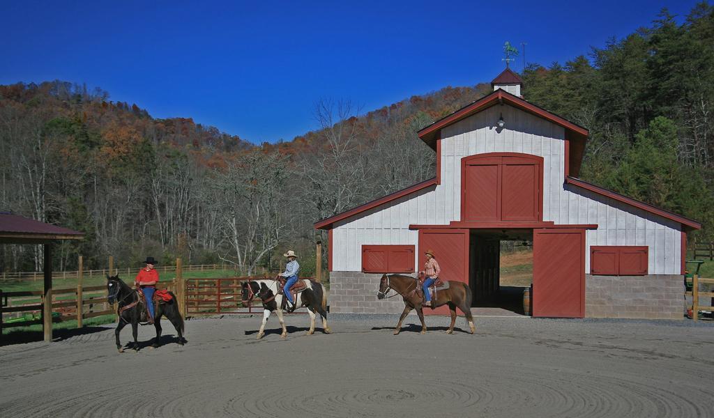 Brasstown Valley Resort & Spa Young Harris Dış mekan fotoğraf